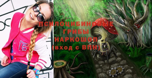 амф Аркадак
