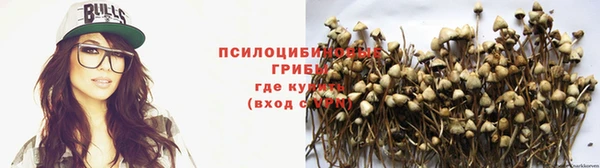 амф Аркадак