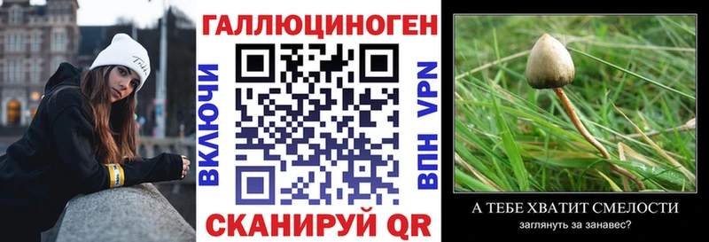 Псилоцибиновые грибы прущие грибы  закладка  MEGA как войти  Нижнеудинск 